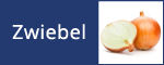 Zwiebel