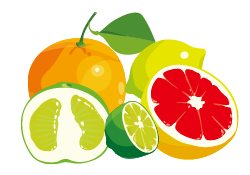 Oranges and Citrus Fruits