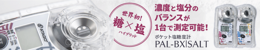 期間限定 送料無料