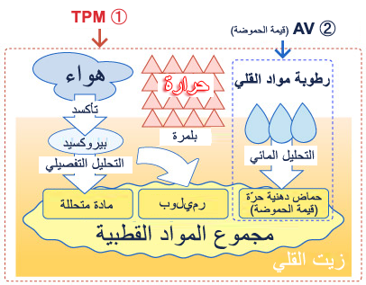 AVとTPMの図