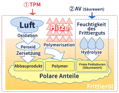 AVとTPMの図