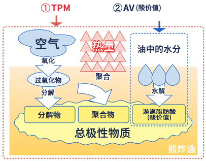 AVとTPMの図