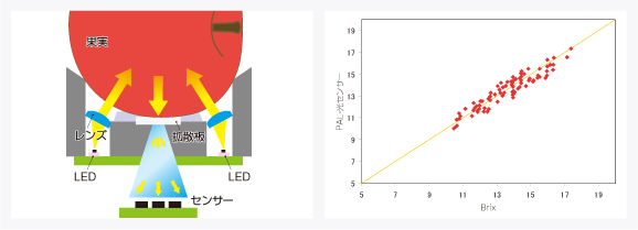 測定原理の図