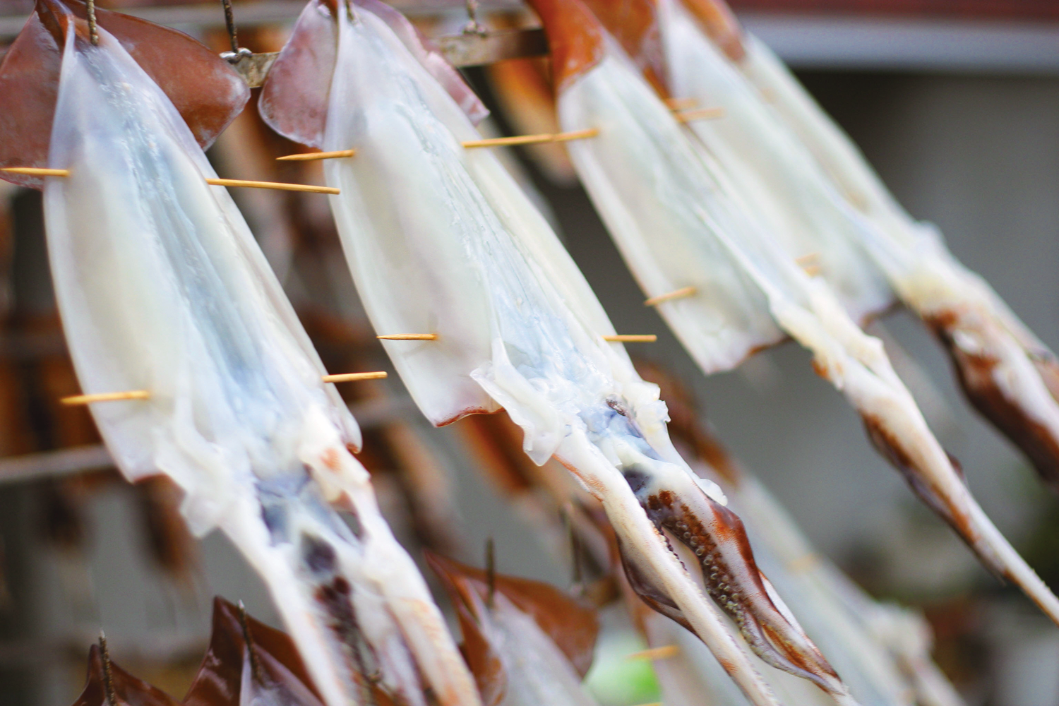 dried_fish-img-1