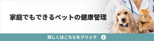 家庭でもできるペットの健康管理  詳しくはこちらをクリック