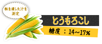 とうもろこし 粒を潰した汁を測定 糖度 : 14～17%