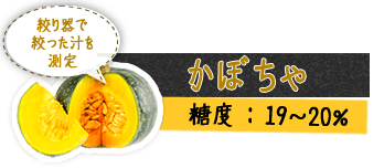 かぼちゃ 絞り器で絞った汁を測定 糖度 : 19～20%