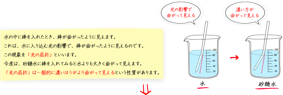 水の中に棒を入れたとき、棒が曲がったように見えます。これは、水に入り込む光の影響で、棒が曲がったように見えるのです。この現象を「光の屈折」といいます。今度は、砂糖水に棒を入れてみると水よりも大きく曲がってみえます。「光の屈折」は一般的に濃いほうがより曲がって見えるという性質があります。