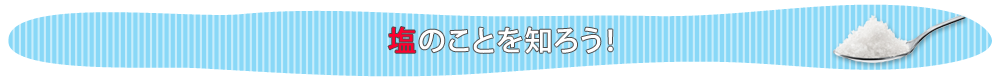 塩のことを知ろう！